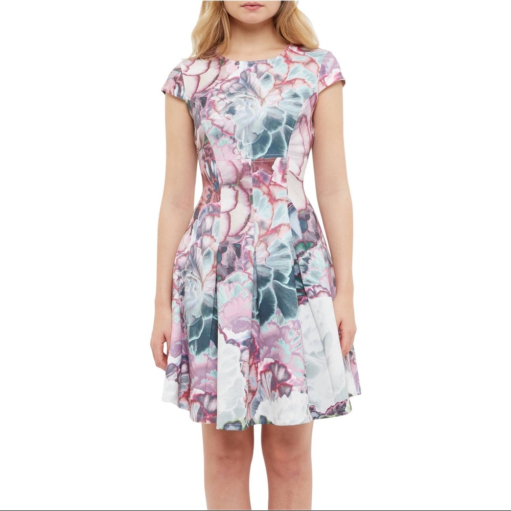 Ted Baker floral Mah pleated A line cocktail dress - Picture 1 of 8